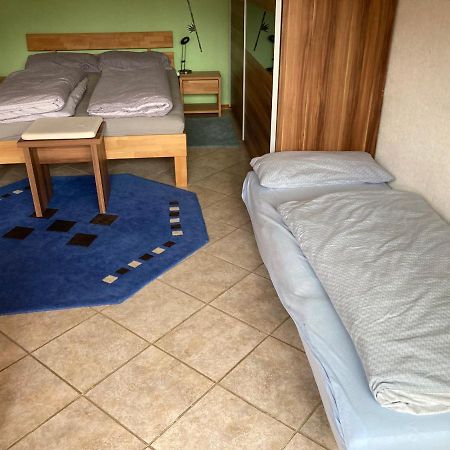 Urlaub Mit Blick Auf Schiltachs Fachwerkhaeuser Εξωτερικό φωτογραφία