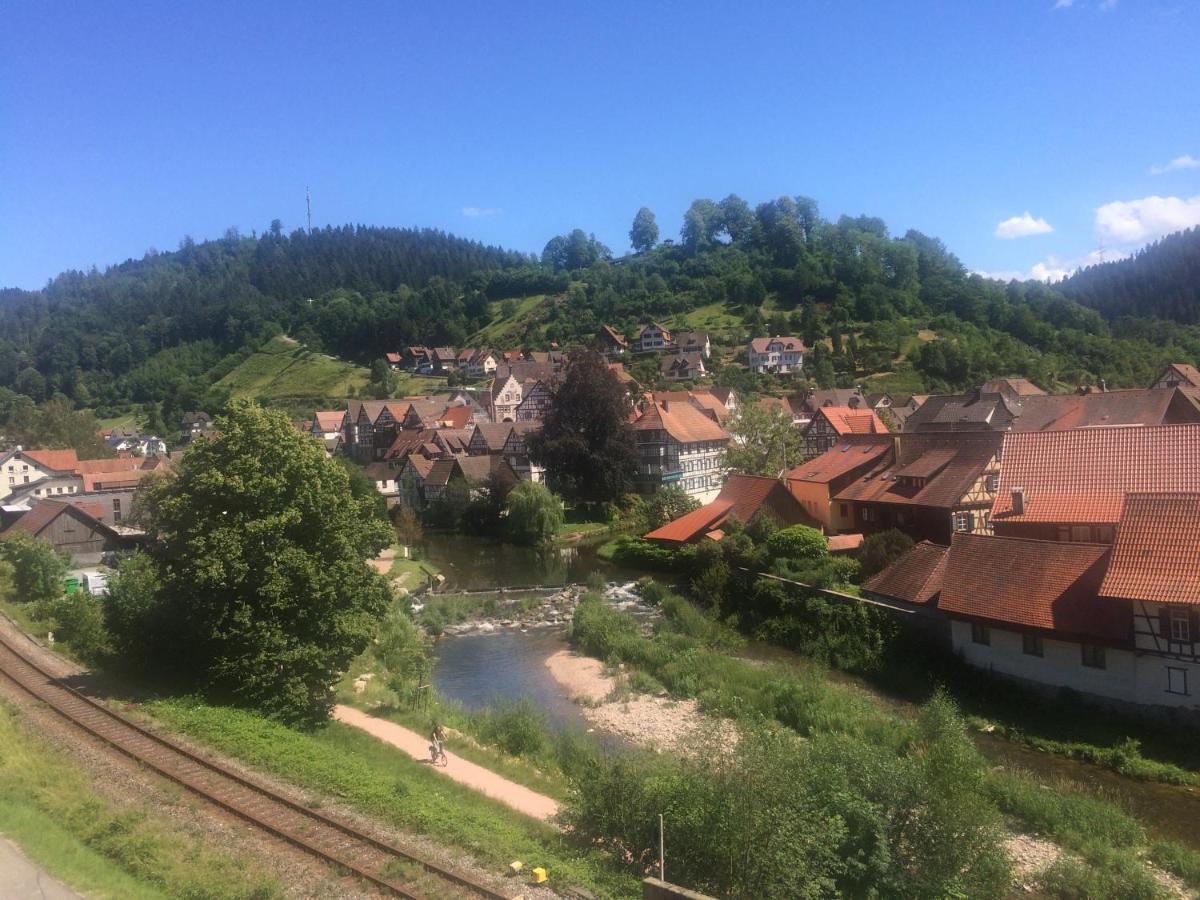 Urlaub Mit Blick Auf Schiltachs Fachwerkhaeuser Εξωτερικό φωτογραφία