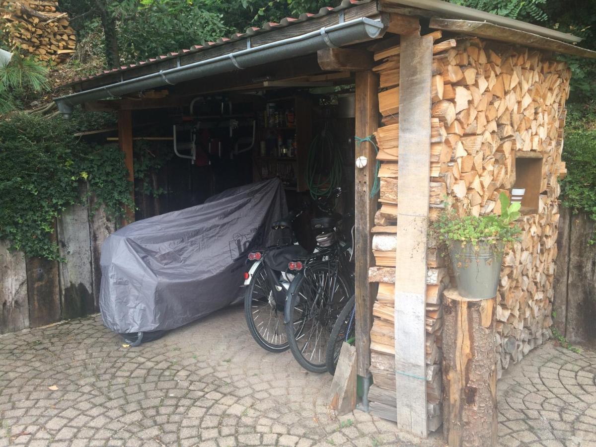 Urlaub Mit Blick Auf Schiltachs Fachwerkhaeuser Εξωτερικό φωτογραφία