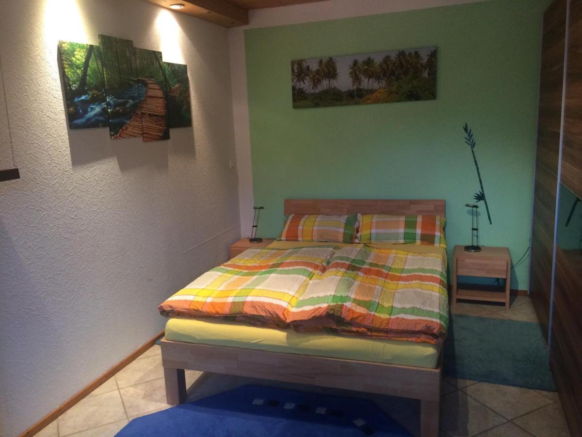 Urlaub Mit Blick Auf Schiltachs Fachwerkhaeuser Εξωτερικό φωτογραφία