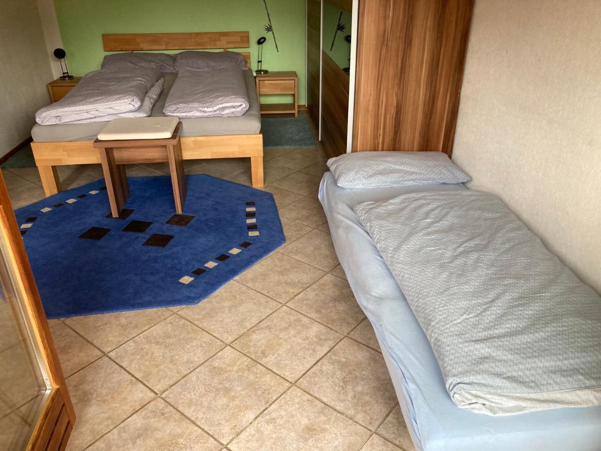 Urlaub Mit Blick Auf Schiltachs Fachwerkhaeuser Εξωτερικό φωτογραφία